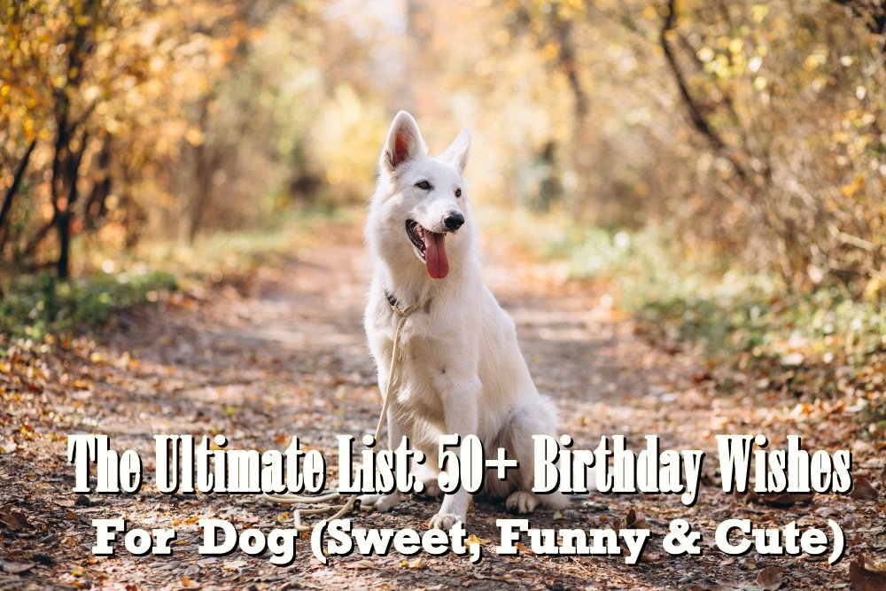birthday wishes for dog birthday wishes for dog