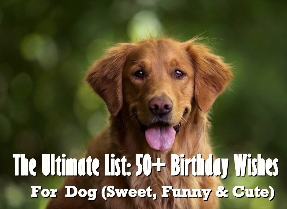 birthday wishes for dog