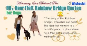 rainbow bridge quotes for dogs